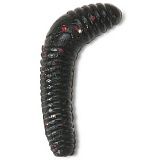 Силиконовые приманки IRON TROUT T-WORM / 2.5cm / Anise / BL - 25шт.