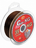 Леска плетёная WFT KG CAT Brown 300/040