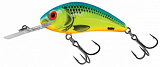 Воблер плавающий Salmo HORNET RUTTLIN F 05.5/CB